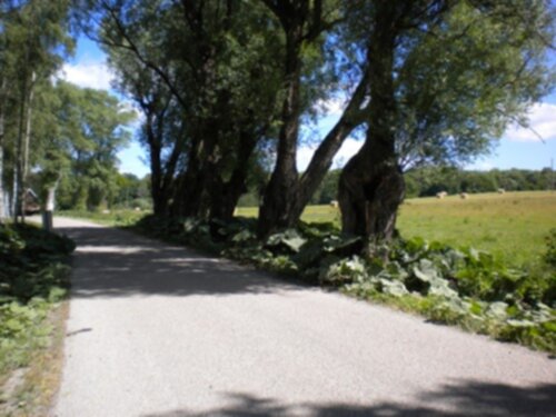 10 bilder från cykelsemestern 10 bilder från cykelsemestern