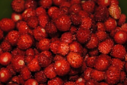 smultron berries