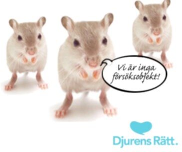 djurens rätt smink djurens rätt smink