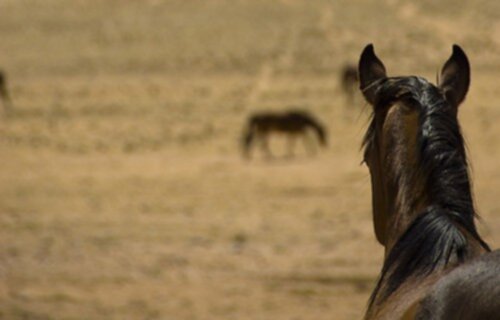 Bakgrundsbild 2011-02-24