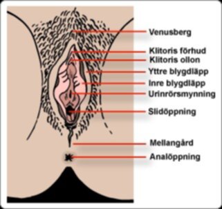 onanera med duschen onanera med duschen
