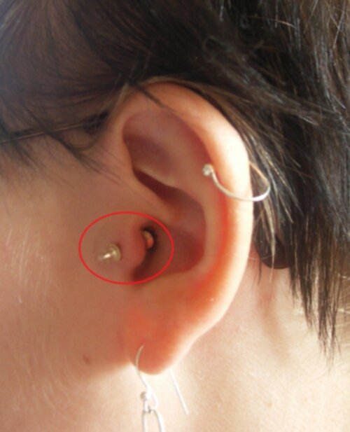 tragus piercing smycke